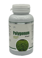 POLYGONUM