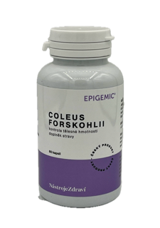 COLEUS FORSKOHLII COLEUS FORSKOHLII