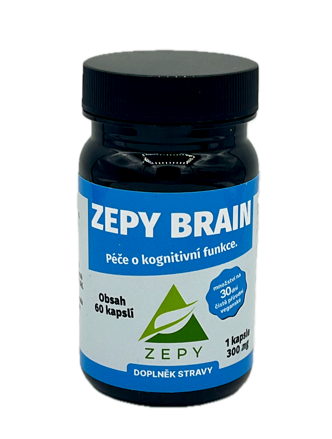 ZEPY BRAIN