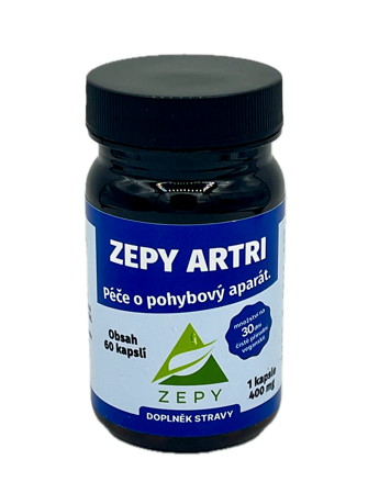 ZEPY ARTRI