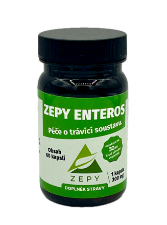 ZEPY ENTEROS