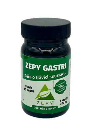 ZEPY GASTRI