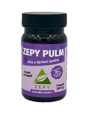ZEPY PULM
