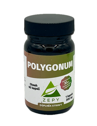 POLYGONUM