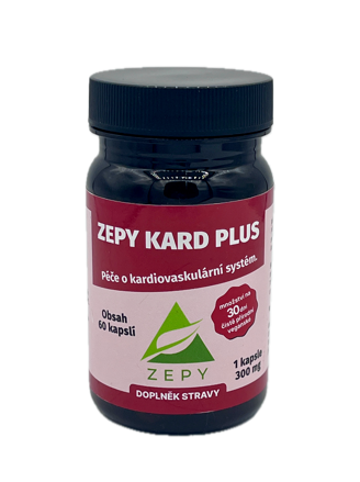 ZEPY KARD PLUS