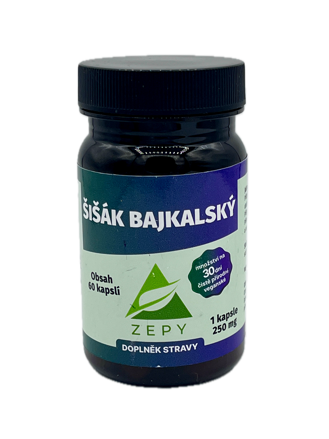 ŠIŠÁK BAJKALSKÝ