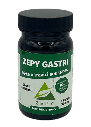 ZEPY GASTRI