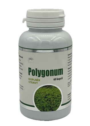 POLYGONUM