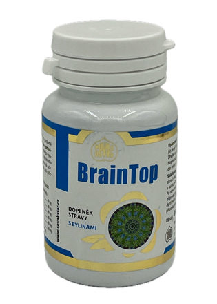 BRAINTOP