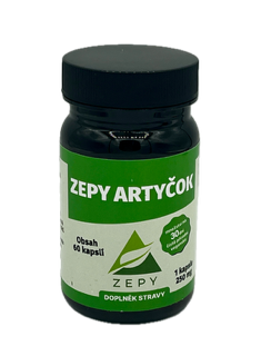ZEPY ARTYČOK
