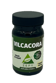 VILCACORA