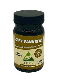 ZEPY PANKREAS