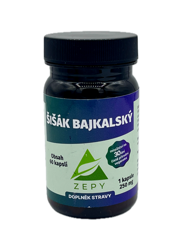 ŠIŠÁK BAJKALSKÝ