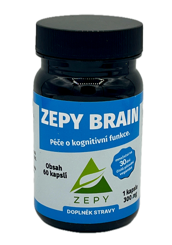 ZEPY BRAIN