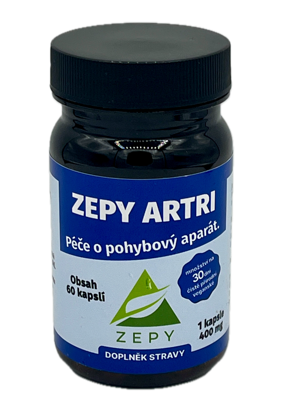 ZEPY ARTRI