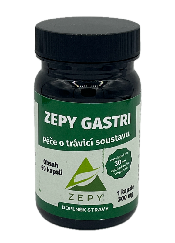 ZEPY GASTRI