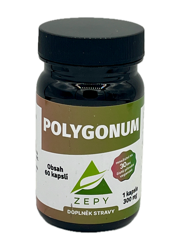 POLYGONUM