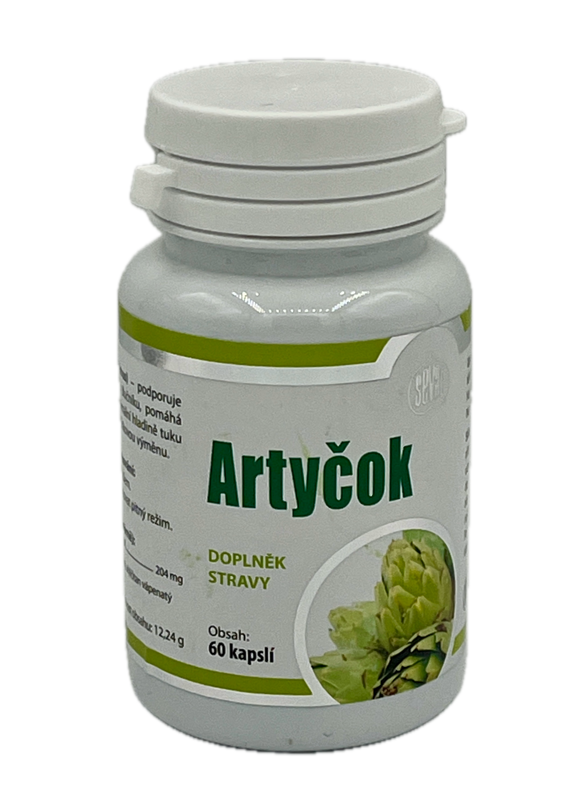 ARTYČOK ARTYČOK