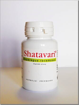 SHATAVARI