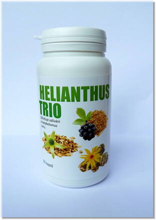 HELIANTHUS DUO