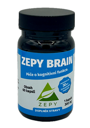 ZEPY BRAIN