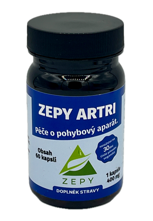 ZEPY ARTRI