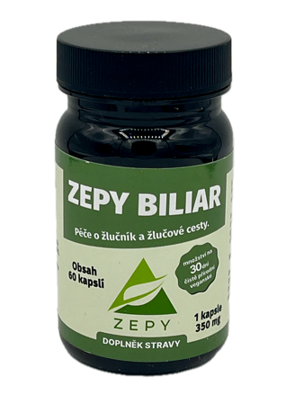 ZEPY BILIAR