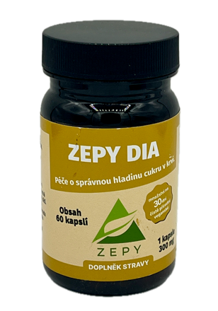 ZEPY DIA