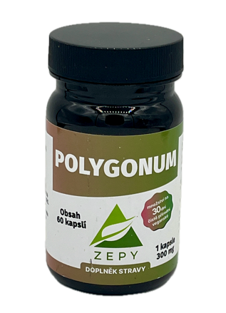 POLYGONUM